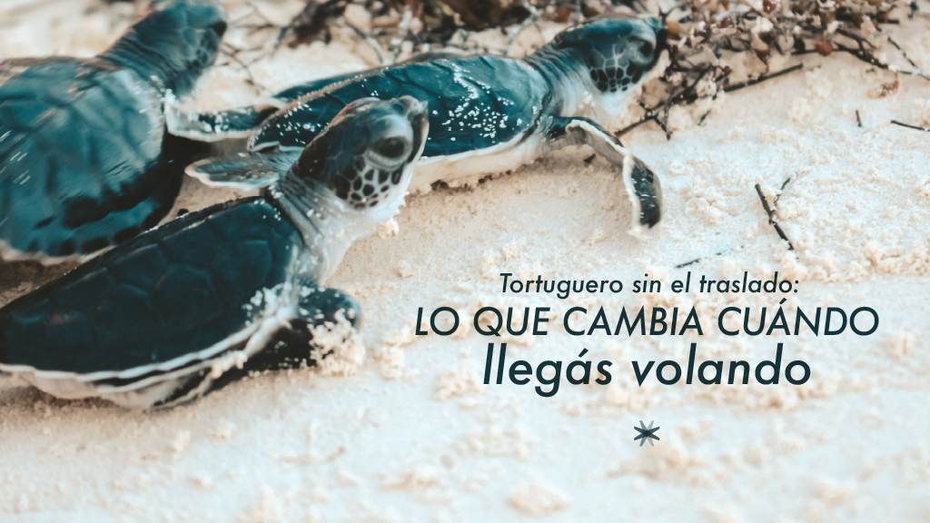 Vuelo privado a Tortuguero sobrevolando los canales y la selva