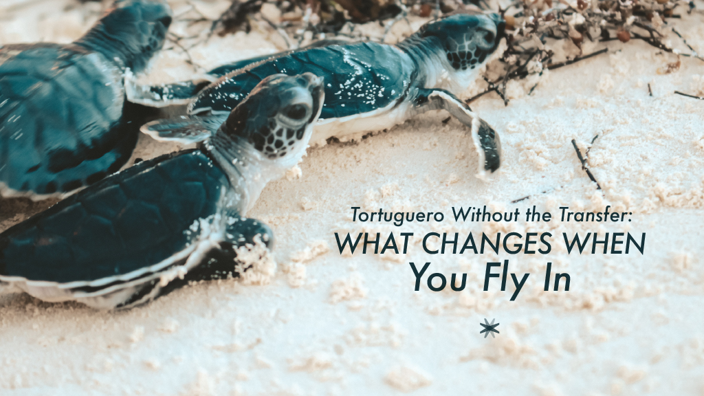 Tortuguero private flight over the canals and rainforest